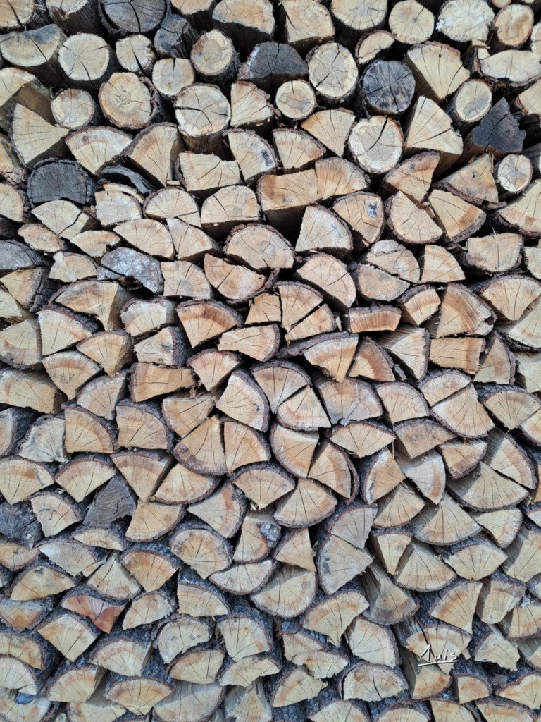 Bûchettes par August Luis