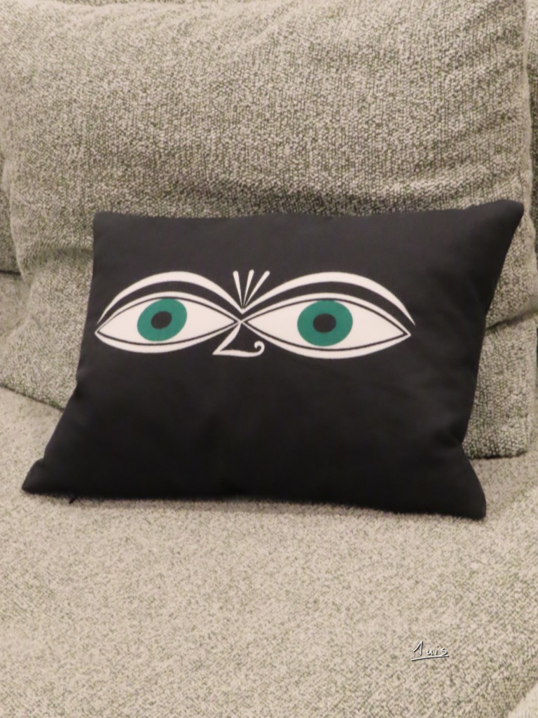 Coussin par August Luis