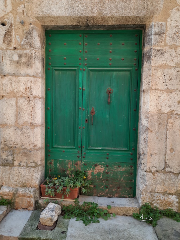 Vert fleuri par August Luis