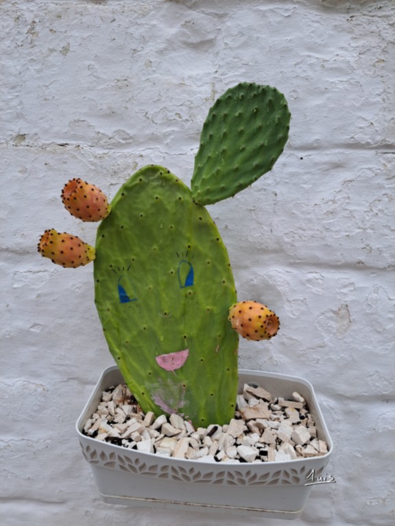 Cactus par August Luis