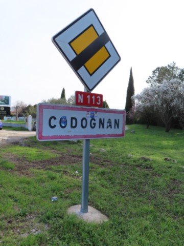 30 CODOGNAN