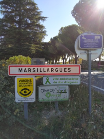 34 MARSILLARGUES