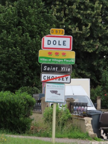 39 DOLE