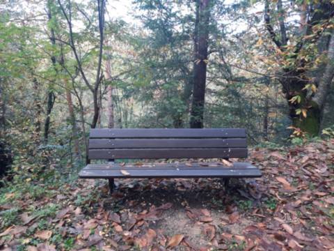Forêt automnale par August Luis