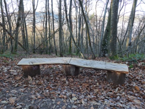 Double banc par August Luis