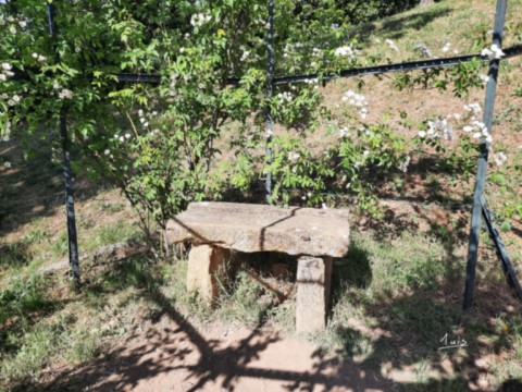 Dolmen par August Luis