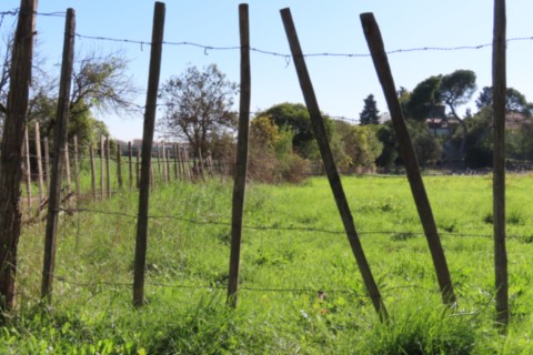 Clôture taurine par August Luis
