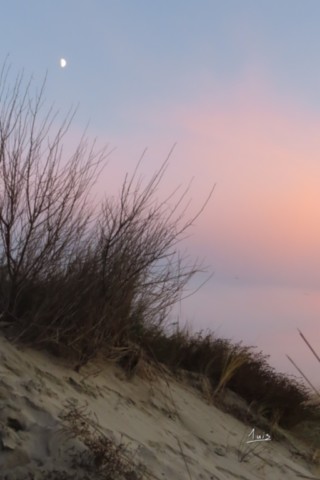 Brume côtière par August Luis