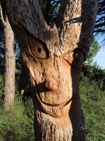 Clin d'oeil par August Luis