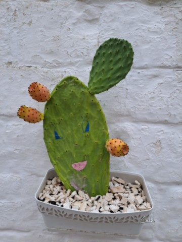 Cactus par August Luis