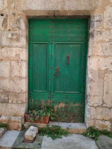 Vert fleuri par August Luis